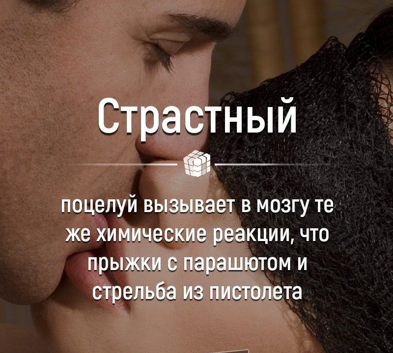 Страстн ы и поцелуй вызывает В МОЗГУ те же химические реакции что прыжки с парашютом и стрельба из пиатвпета дгіадгат э