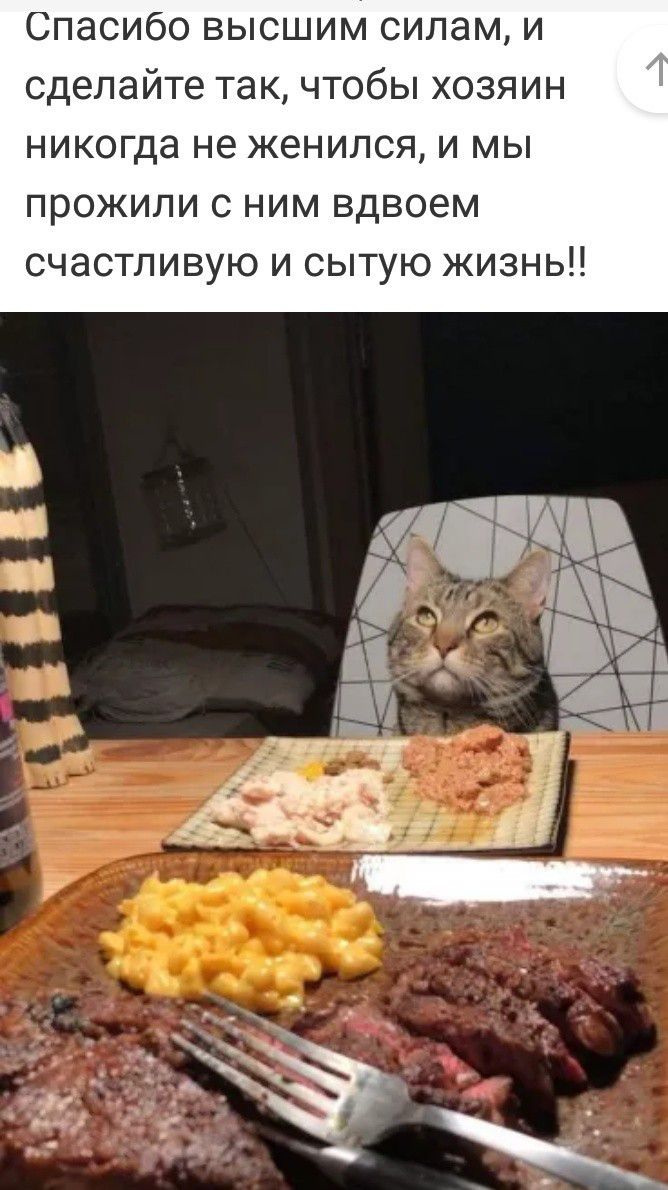 Спасибо высшим силам и сделайте так чтобы хозяин никогда не женился и мы прожили с ним вдвоем счастливую и сытую жизнь к к ип
