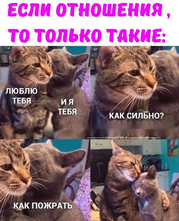 ФА _ Ми лювлю ТЕБЯ и я ТЕБЯ кдк силБнт _ ЗХ 5 о ет квк пожить