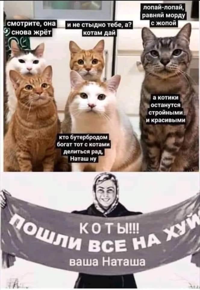 лопатами ранияй мпрду в шпики остиуіси стой красивыми ьупрбпадпи бош копии Аепиіьсп рад и у К О Т Ы и все А ваша Наташа