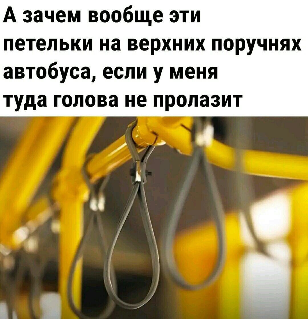 А зачем вообще эти петельки на верхних поручнях автобуса если у меня туда голова не ПРОЛЗЗИТ