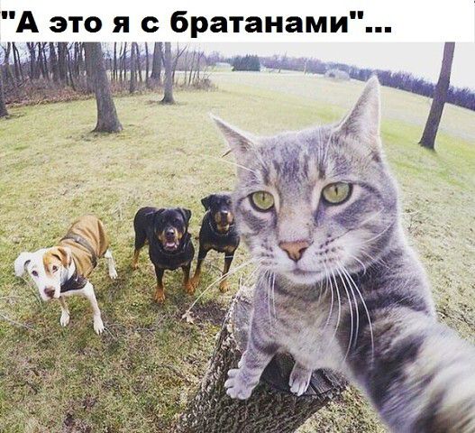 А это я братанами