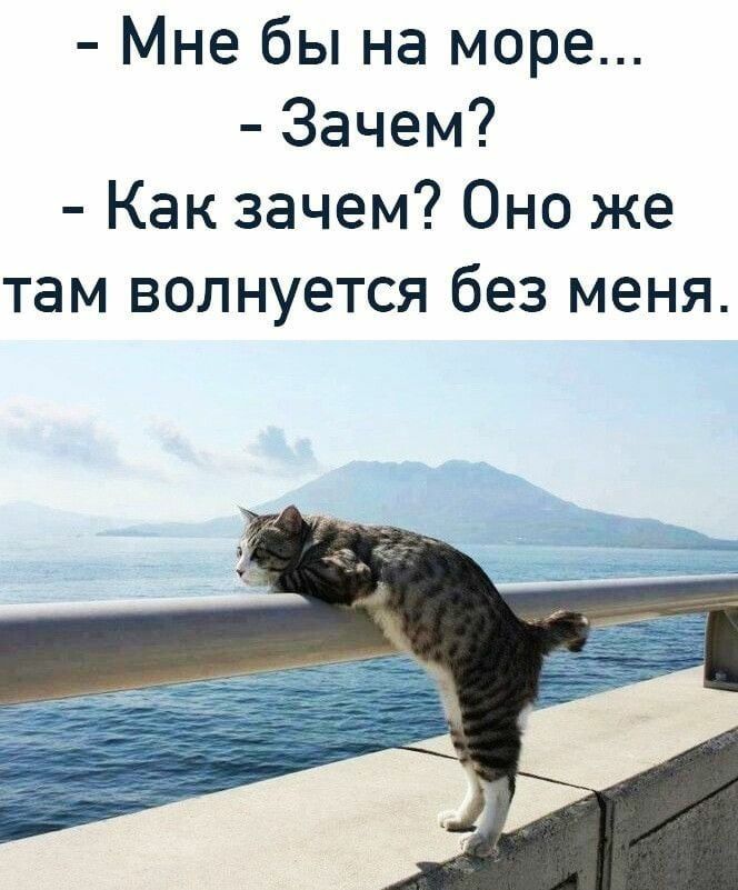 Мне бы на море Зачем Как зачем Оно же там волнуется без меня