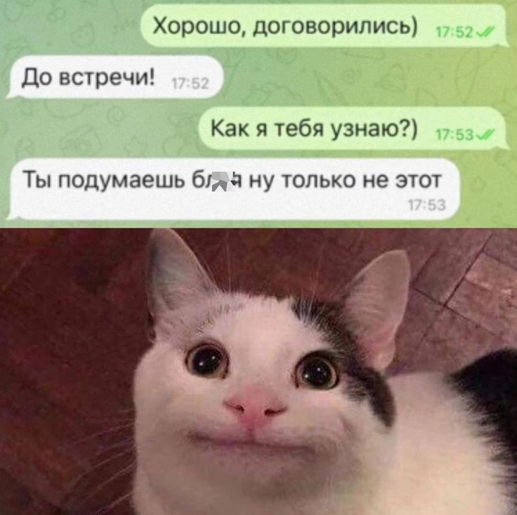 Хорошо договорились До встречи Как я тебя узнаю Ты подумаешь бч у только не зют