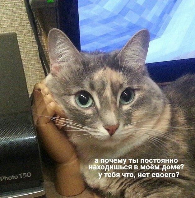 почему ты подтяжка пксдишься моём доме у тебя что нет своего