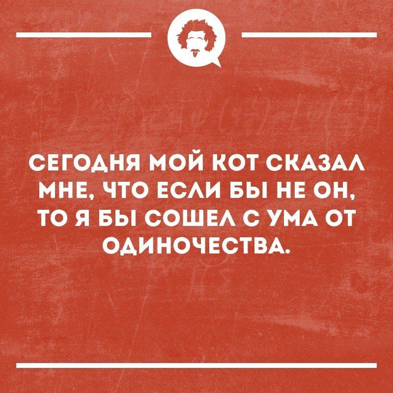 _Ф сегодня мой кот СКАЗАА нив что гсм вы не он то я вы сошв с УМА от ОАИНОЧЕСТВА