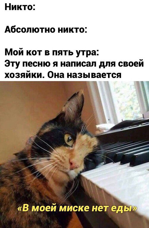 Никто Абсолютно никто Мой кот в пять утра Эту песню я написал для своей хозяйки Она называется