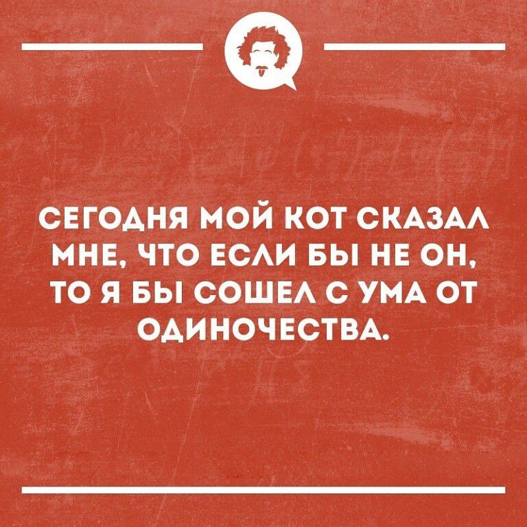 _Ф СЕГОАНЯ мой кот СКАЗАА нив что нем вы не он то я вы сошв с УМА от ОАИНОЧЕСТВА
