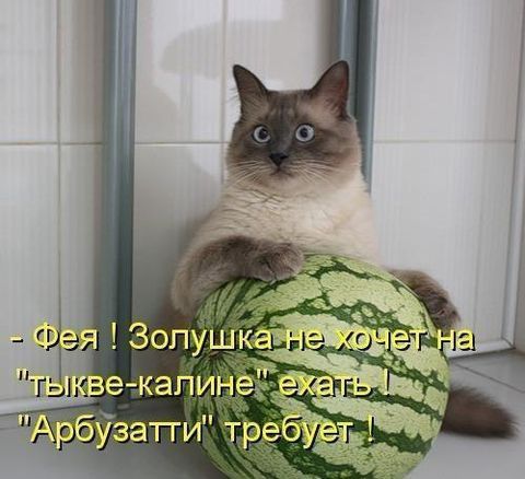 _ _а 6Узатги тре