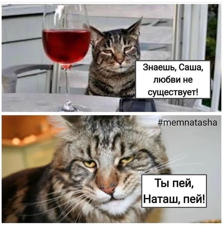 Знаешь Саша любви не существует Ты пей Наташ пей