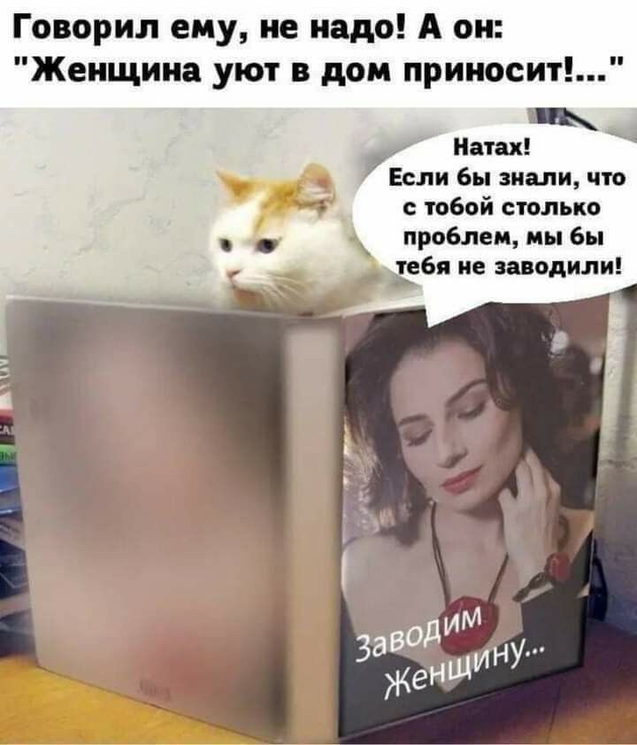 Говорил ему не надо А он Женщина уют в дом прииосит на Если Бы знали что твой спальни проблеи мы Бы ввп не вводили