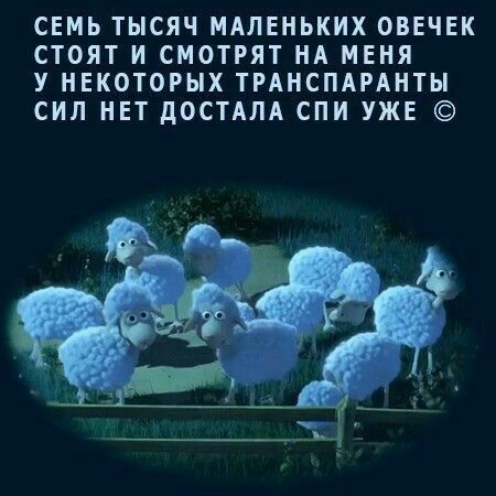 СЕМЬ ТЫСЯЧ МАЛЕНЬКИХ ОВЕЧЕК СТОЯТ И СМОТРЯТ НА МЕНЯ У НЕКОТОРЫХ ТРАНСПАРАНТЫ СИЛ НЕТ дОСТАЛА СПИ УЖЕ