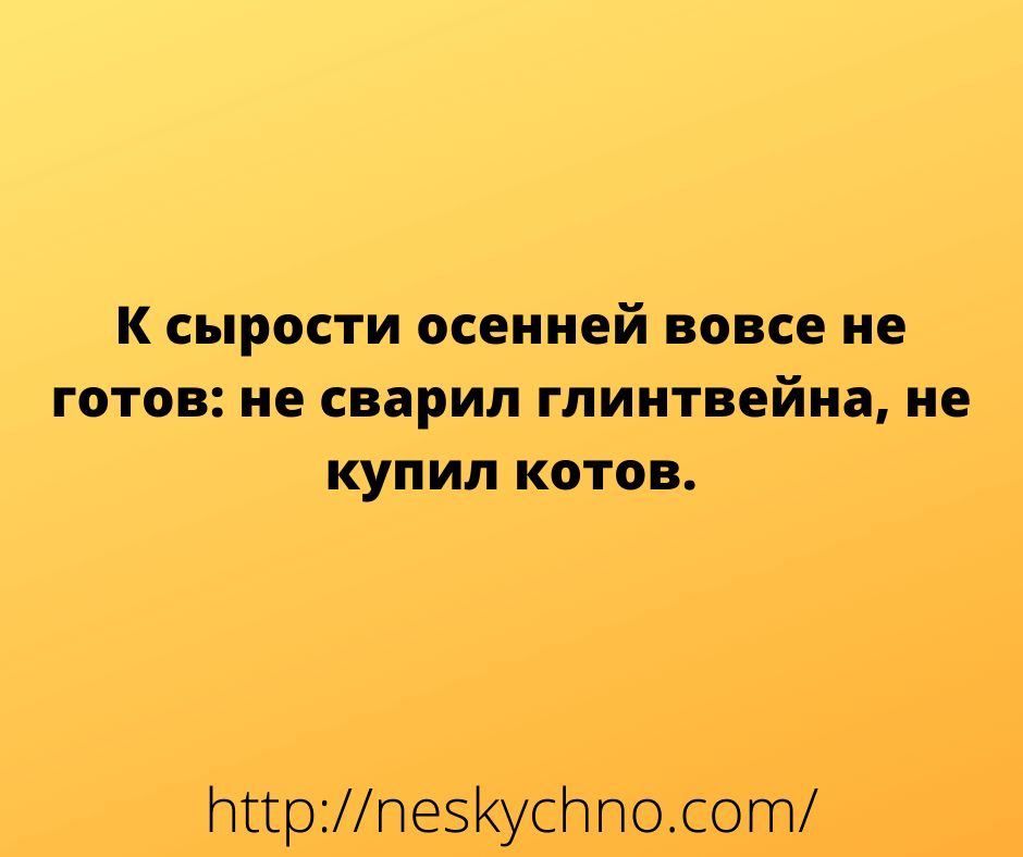 к сырости осенней вовсе не готов не сварил глинтвейна не купил котов ттрМпезКусПпо