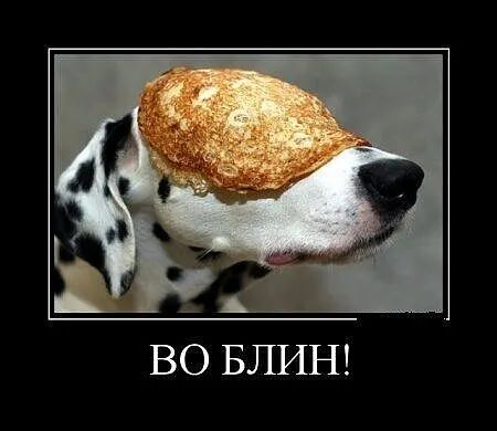 ВО БЛИН