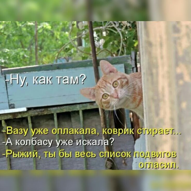 а А С Г г