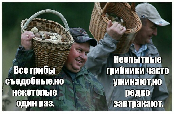 1 Все рипы съедобными _ иниптппыв одии паз вопытиые шипииітид7 часто ужиитііотмо педцп завтпаиают