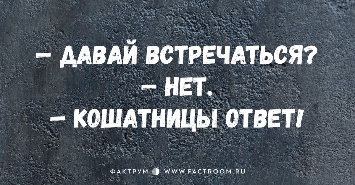 мвдй встрвчдтьст нет кошдтницы ответ 1