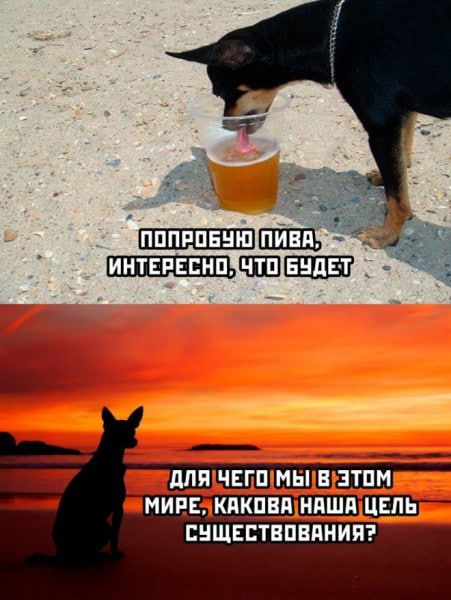 _иппв _ СНШЕСТЕПВПНИЯ