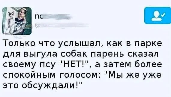 Я пс _Г _ Только что услышал как в парке ДЛЯ БЫГУПЭ собак парень СКЭЗЭЛ своему псу НЕТ а затем более спокойным голосом Мы же уже это обсуждали