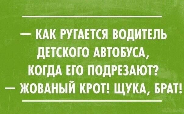 КАК тшся водитель дпского АВТОБУСА КОГДА но подгшютт жовдный крот щукд вит