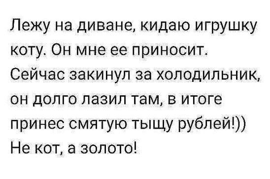 Лежу на диване кидаю игрушку коту ОН мне ее приносит Сейчас закинул за холодильник он долго лазил там в итоге принес смятую тыщу рублей Не кот а золото