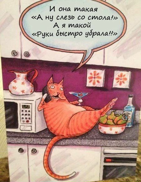 И она такая А ну аман со стола А я такой Рики быстро фірма
