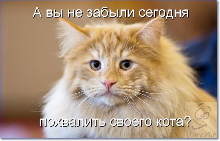 А вы на гъбэшщ еГДНя южзгшить своего кожа