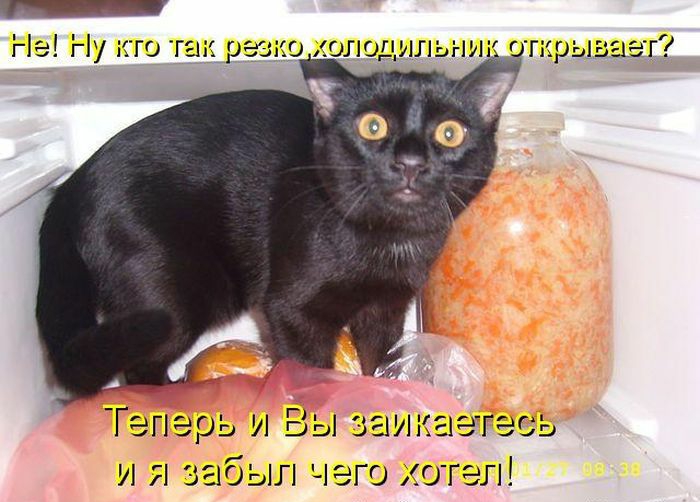 _ На Ну то ген рт со солод шыш нард г Теперь и Вы инагггэ ь а чего хтел шиншил Щи Ех