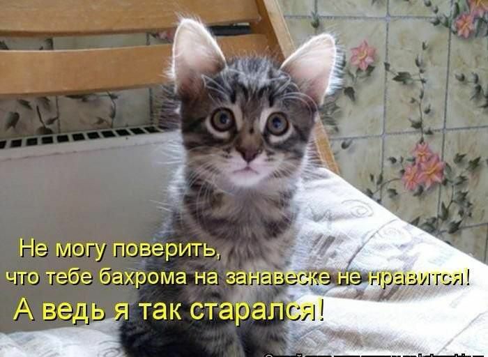 Не могуповерить что тебе бахрома на зЁЁа