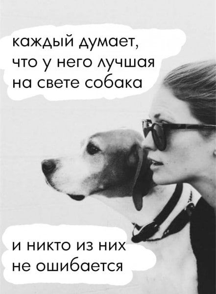 каждый думает что у него Аучшоя на свете собака И НИКТО ИЗ НИХ не ошибается