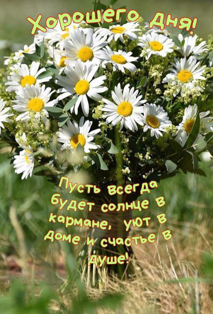 Будет солнце жене уют До Ме и счастье