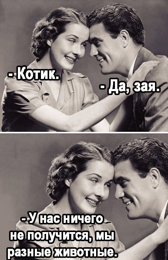не ПОЛУЧИТОЯ МЫ ГЁЗЗНЫЕЕЖИВОТНЫЕ
