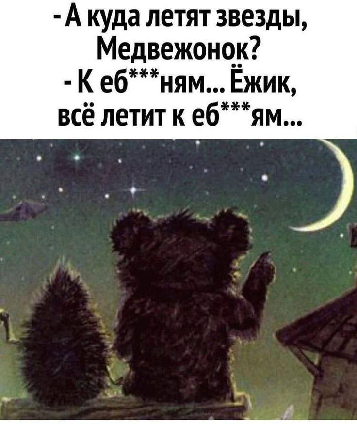 А куда летят звезды Медвежончк К ебням Ёжик всё летит к ебям