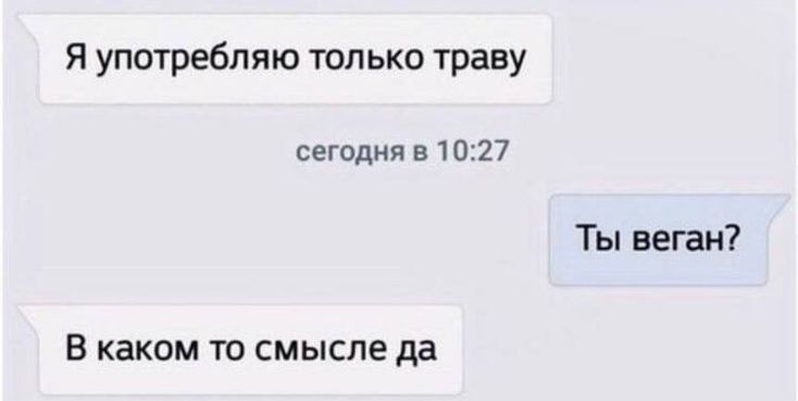 Я употребляю только траву сегодия 510 27 Ты вещи В каком то смысле да