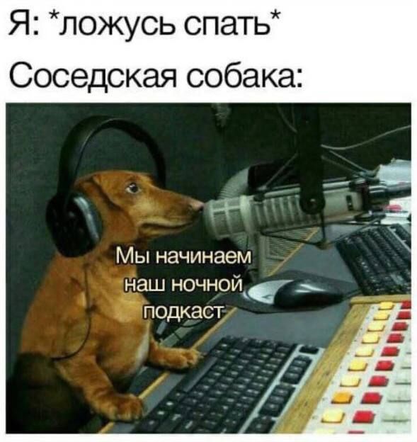 Я ложусь спать Соседская собака Мы начинаем наш ночной подкаст