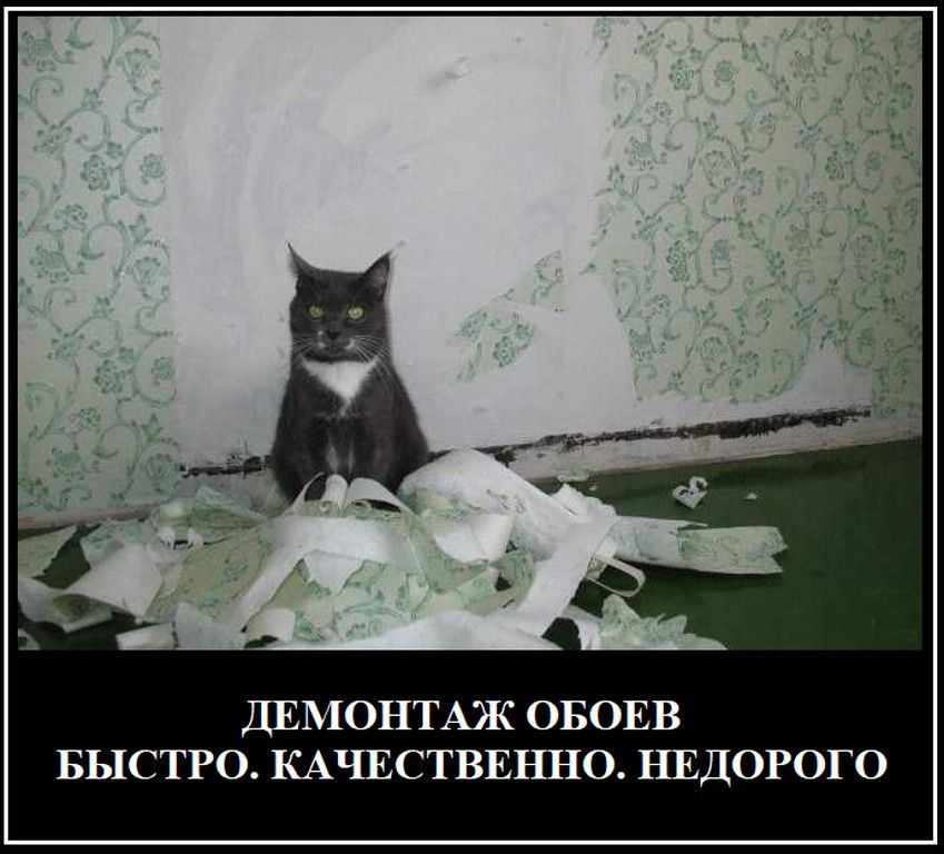 ДЕМОНТАЖ ОБОЕВ БЫСТРО КАШСТВЕЪШО НЕДОРОГО