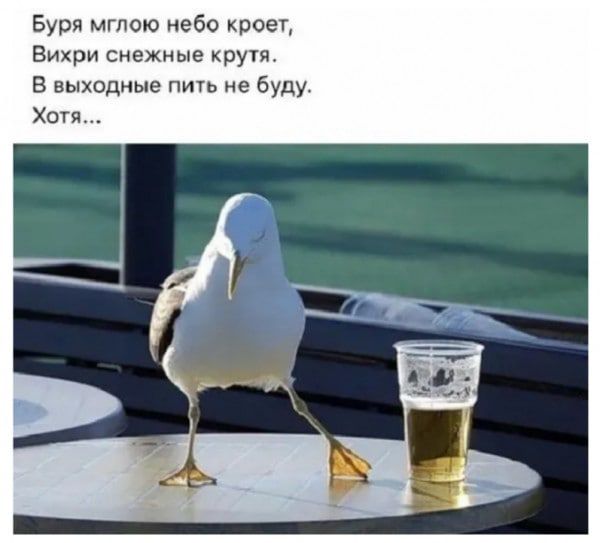 Буря мглою ебо кроет Бихри снежные крут в выходиые пиіь е Буду Хотя