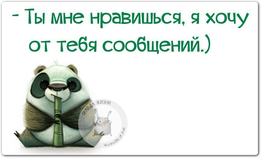 Ты мне нравишься я хочу от тебя сообщений