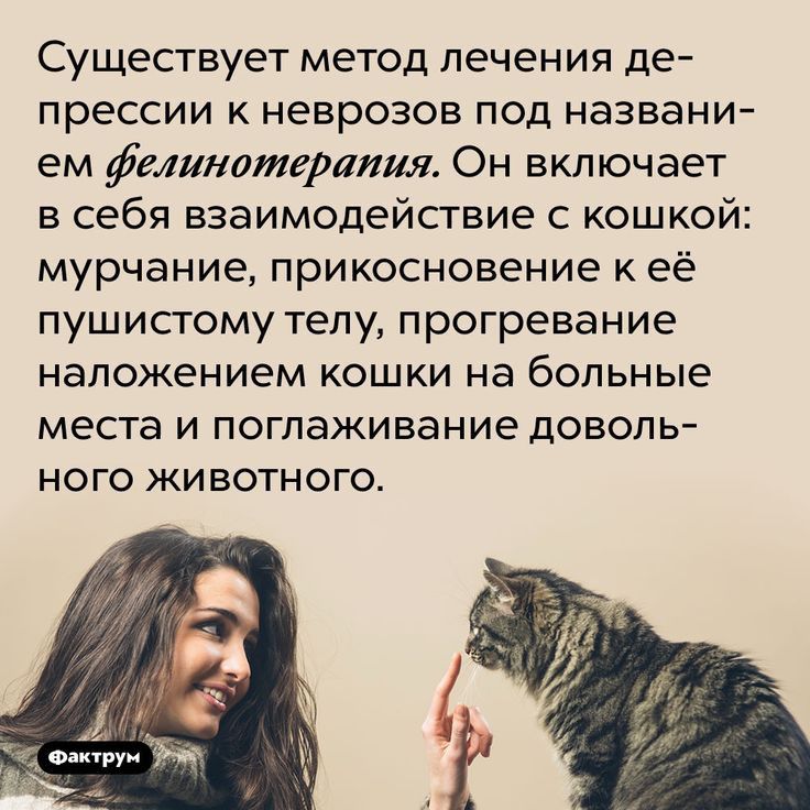 Существует метод лечения де прессии к неврозов под названи ем фтинотерапия Он включает в себя взаимодействие с кошкой мурчание прикосновение к её пушистому телу прогревание наложением кошки на больные места И ПОГЛаЖИВЭНИё дОБОПЬ ного животного Дан
