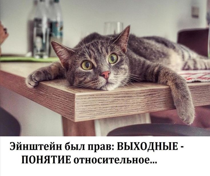 Эйнштейн был прав ВЫХОДНЫЕ ПОНЯТИЕ относительное