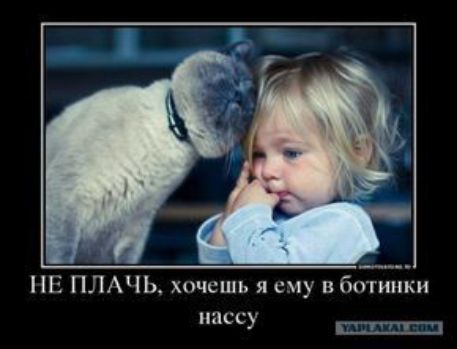 ПЕ ПЛАЧЬ хочешь я сну в ботинки пнссу Г