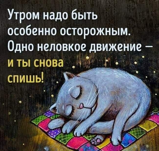 Утром надо быть особенно осторожным Одно неловкое движение и ты снова спишь м 5