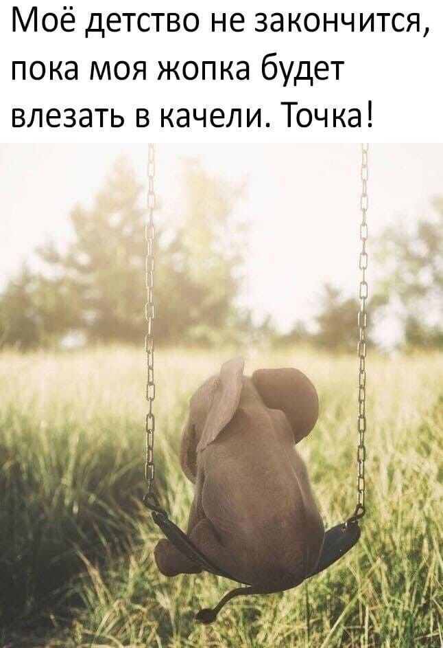 Моё детство не закончится пока моя жопка будет влезать в качели Точка