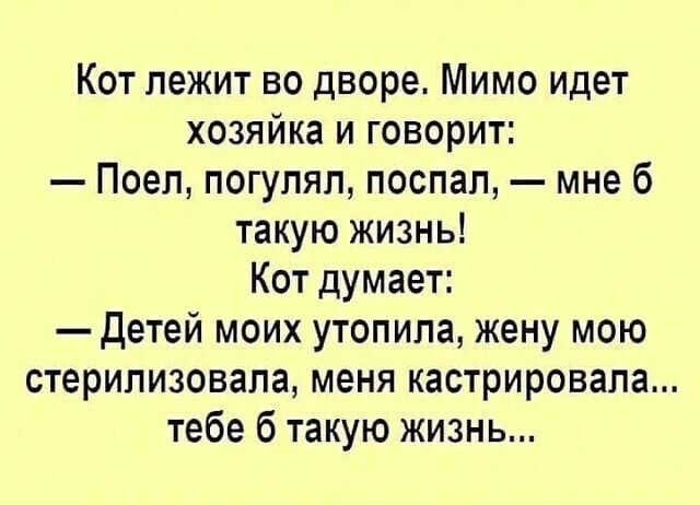 Кот лежит во дворе Мимо идет хозяйка и говорит Поеп погулял поспал мне 6 такую жизнь Кот думает Детей моих утопипа жену мою стерипизовапа меня кастрировапа тебе 6 такую жизнь