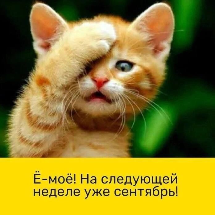 Ёчмфха ікэсъушащ ай дл В ЖТЩЦЁЫ