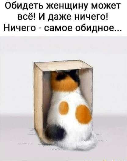 Обидеть женщину может всё И даже ничего Ничего самое обидное