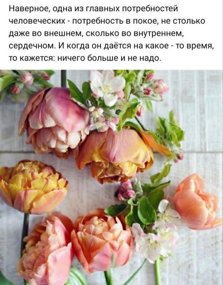 Наверное одна из главных потребностей человеческих потребность в покое не столько даже во внешнем сколько во внутреннем сердечном И когда он даётся на какое то время то кажется ничего больше и не надо