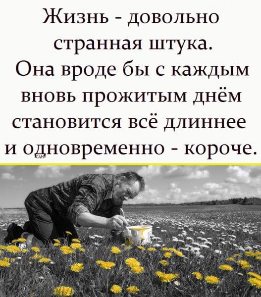 Жизнь довольно странная штука Она вроде бы с каждым вновь прожитым днём становится всё длиннее и одновременно короче