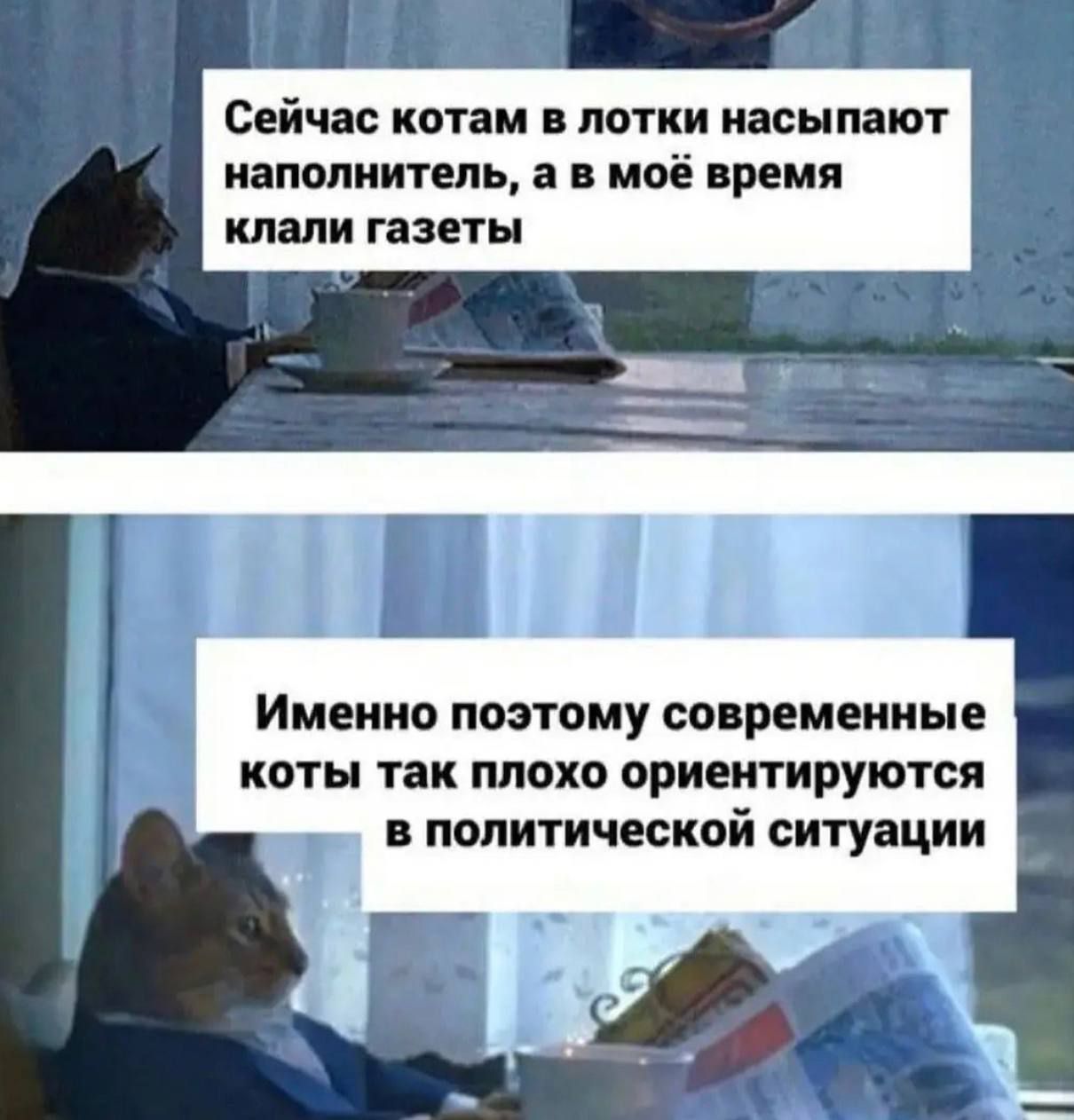 Сейчас котам лотки насыпают наполнитель а моё премя клали газеты ИМЕННО ПОЭТОМУ современные коты так плохо ориентируются В ПОЛИТИЧЕСКОЙ ситуации