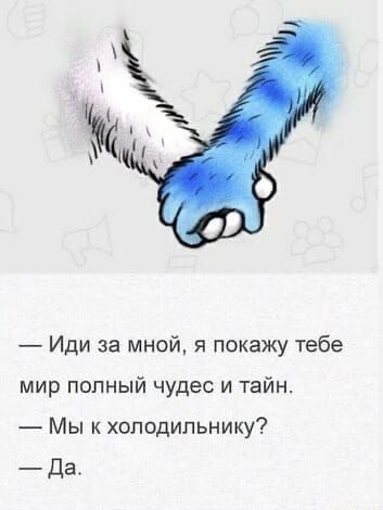 Иди за мной я покажу тебе мир полный чудес и тайн Мы к холодильнику Да